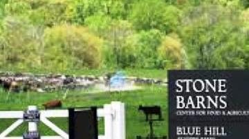 El animal huyó de esta finca que incluye un famoso restaurante