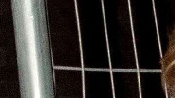 Taylor Swift y Joe Alwyn