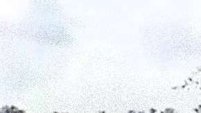 Tráiler lleno de cadáveres.