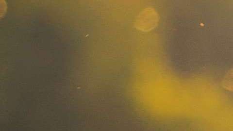 Realmente, son cosas que puedes empezar a hacer desde ya.