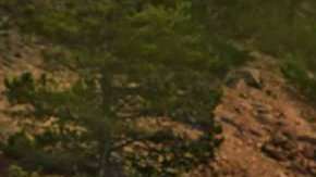 El Volvo XC60 es el actual rey