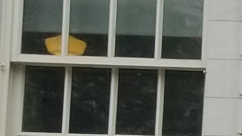 Guillermo Chacón (contro-izq.) y Luis Mares (centro-der.), de la Comisión Latina sobre el SIDA, junto a miembros de otras organizaciones ayer en la Alcaldía de Nueva York.