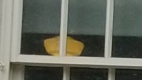 Guillermo Chacón (contro-izq.) y Luis Mares (centro-der.), de la Comisión Latina sobre el SIDA, junto a miembros de otras organizaciones ayer en la Alcaldía de Nueva York.