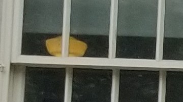 Guillermo Chacón (contro-izq.) y Luis Mares (centro-der.), de la Comisión Latina sobre el SIDA, junto a miembros de otras organizaciones ayer en la Alcaldía de Nueva York.