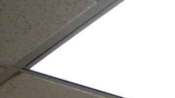 Los jóvenes latinos se movilizan para sumar votantes.