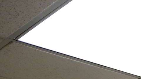 Los jóvenes latinos se movilizan para sumar votantes.