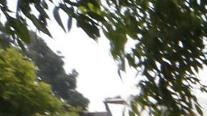 En las elecciones generales de 2020 más de