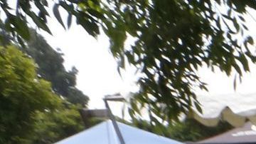 En las elecciones generales de 2020 más de