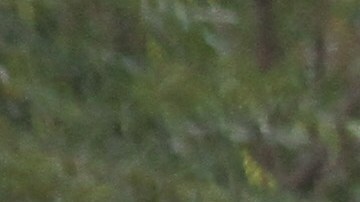 Rumbo a clases en Nueva York.