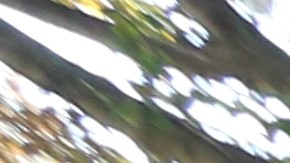 L/R: Nancy Cruz y Sandra Guzman Partridge, madres de la escuela 321 en Park Slope venderan golosinas el dia de elecciones para aydar organizacion de inmigrantes.