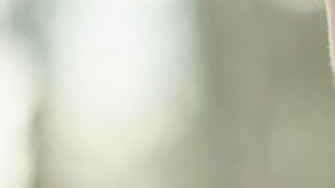 De ser así, la búsqueda de causas y remedios para las enfermedades mentales se ampliaría a campos insospechados.