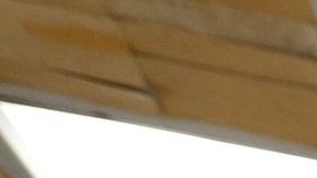 Roberto Gómez (d) y su amigo José Rivera muestran ;ps boletos recién adquiridos. / foto: Aurelia Ventura.