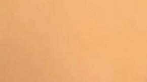 La niña murió por el ataque del perro de la familia.