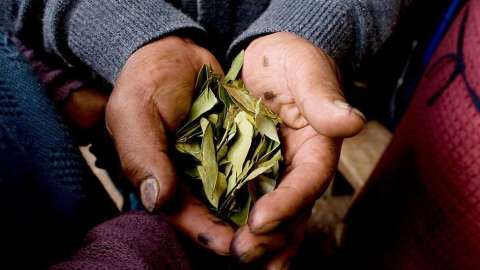 El mate de hojas de coca se toma para combatir el mal de altura.