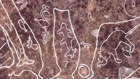 La mayoría de los dibujos estaban bajo capas de tierra y barro.