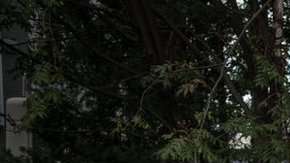 103671839_gettyimages-1029149012