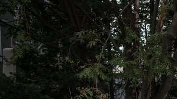 103671839_gettyimages-1029149012