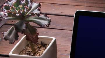 El wifi se ha vuelto una tecnología omnipresente.