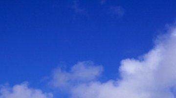 La ubicación de los moais siempre intrigó a los científicos.