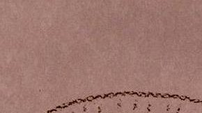 El accidente parecía haber eliminado el inglés del cerebro de Hannah.