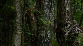 Para los jueces, una de las cosas que hace especial a esta foto es la luz.