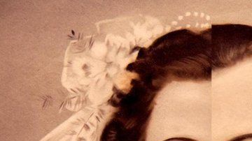 La similitud entre los miembros de una pareja es importante.