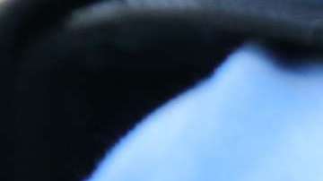 Operation Raging Bull