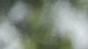 Familia migrante en la Estación Central de Autobuses en McAllen, Texas, 2018.