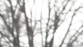 Cientos de miles serían deportados al terminar su TPS.