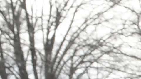 Cientos de miles serían deportados al terminar su TPS.