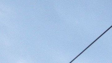 Peregrinos siguen a la Virgen de Zapopan en Guadalajara.