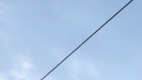 Peregrinos siguen a la Virgen de Zapopan en Guadalajara.