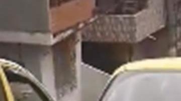 Este pequeño perro persiguió durante 20 cuadras a su dueña que lo había abandonado.