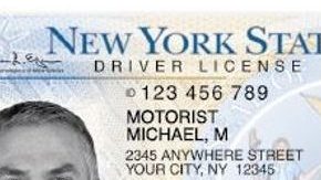 Licencia estándar de Nueva York