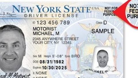 Licencia estándar de Nueva York