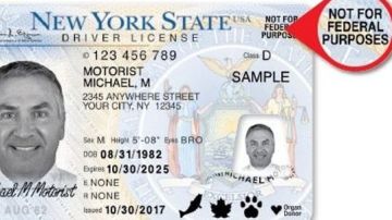 Licencia estándar de Nueva York