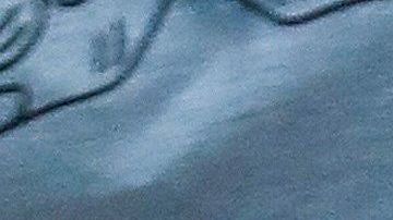 La modelo Emily Ratajkowski y la actriz Amy Schumer fueron detenidas en la protesta