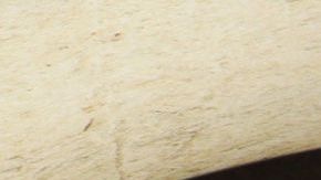 El códice maya de México se exhibe en el Museo Nacional de Antropología. EFE