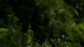 La caravana migrante continúa su camino hacia EEUU.