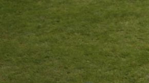 El pitcheo de los Dodgers de Los Ángeles no va a sacar la Serie Mundial si sus bats no despiertan. (Foto: EFE/JOHN G. MABANGLO)