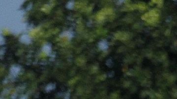 La caravana continúa su paso hacia EEUU.