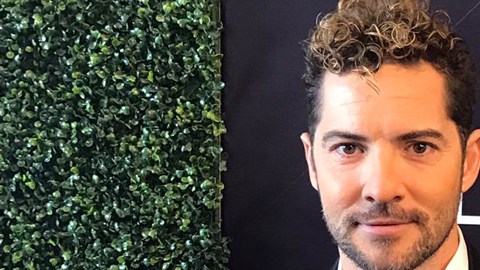 David Bisbal