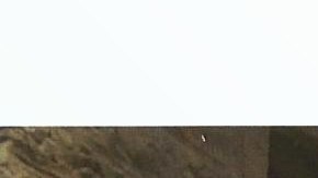 La cinta es una comedia oscura que narra la historia de un inmigrante dominicano./Cortesía