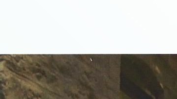 La cinta es una comedia oscura que narra la historia de un inmigrante dominicano./Cortesía