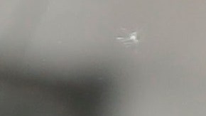 Los líderes tuvieron un diálogo telefónico.