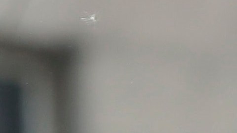 Los líderes tuvieron un diálogo telefónico.