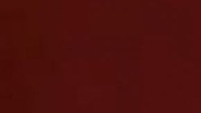 Angelique Boyer y Michel Brown protagonizan "Amar a Muerte"