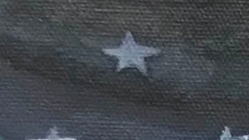 Donald Trump es protagonistas de varias piezas de la exhibición.