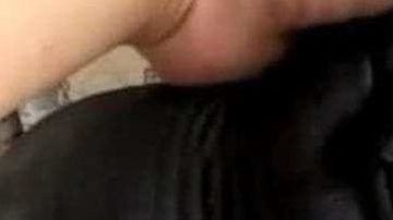 En efecto, el animal no tiene forma de perro.