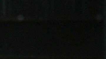 Agente de la Patrulla Fronteriza de EEUU revisa un auto on la ayuda de un perro rastreador